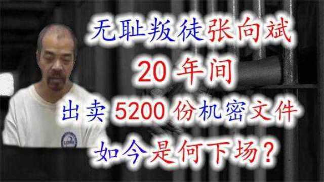 无耻叛徒张向斌,20年间出卖5200份机密文件,如今是何下场