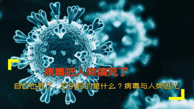 病毒把人类搞死了,自己也死了,它的目的是什么?病毒与人类进化