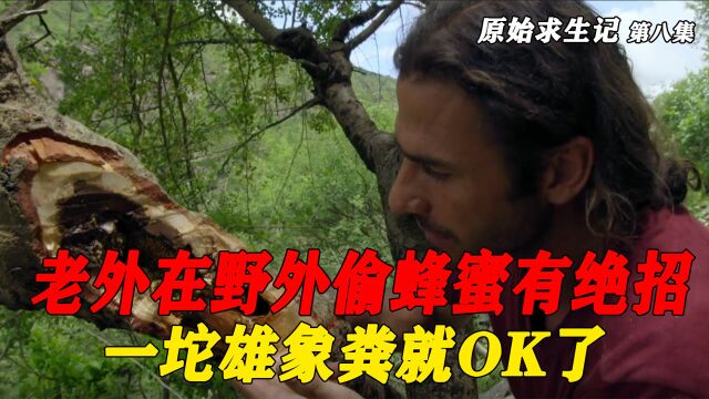 外挑战荒野生存,跟随斑马脚印寻找水源,没想到来到了河马家