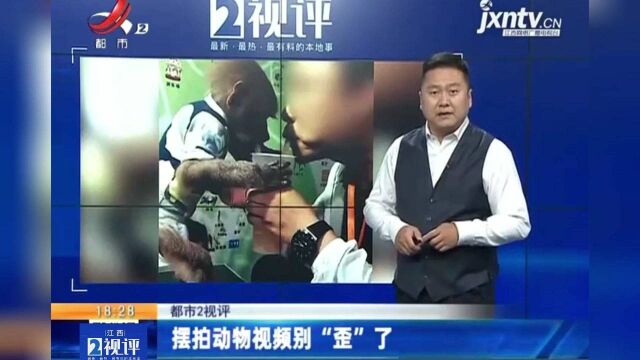 江西热榜:“幼猴抽烟”视频热传 摆拍动物视频别“歪”了