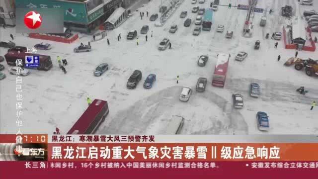 黑龙江:寒潮暴雪大风三预警齐发——降雪区重心偏东 局地降水或破极值