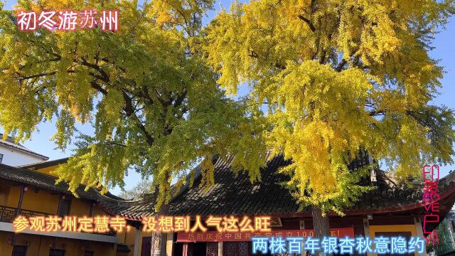 进定慧寺巷参观定慧寺,没想到人气这么旺,两株百年银杏秋意隐约