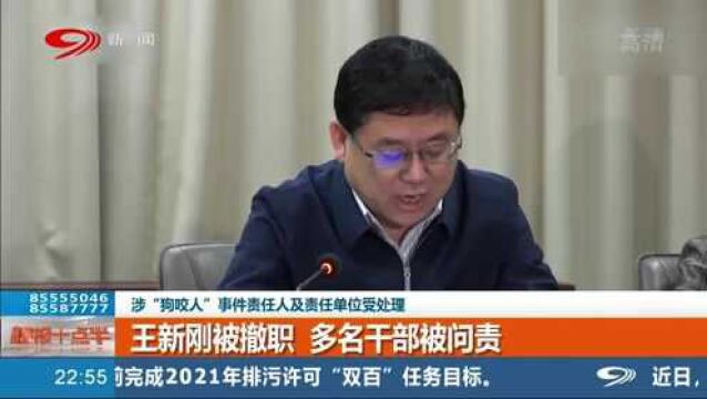 涉及“狗咬人”事件,王新刚被撤职处罚,多名干部被问责