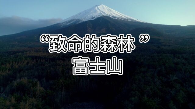 “致命的森林 ”—— 富士山