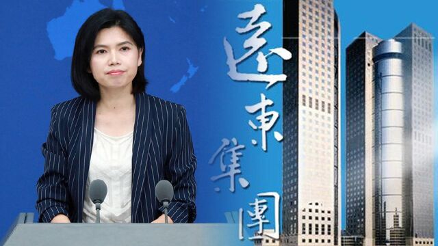 远东集团在大陆投资企业因违法违规被依法查处,国台办回应