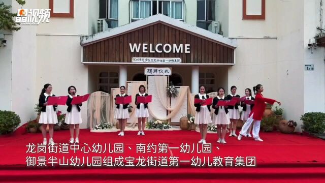 着力构建“五共”工程!宝龙街道第一幼儿教育集团揭牌