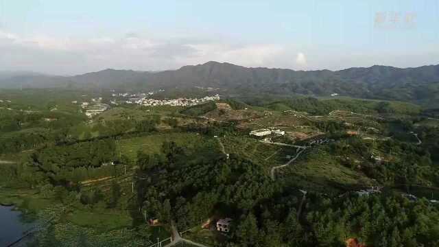 福建长汀:从“山光水浊”到满山翠绿