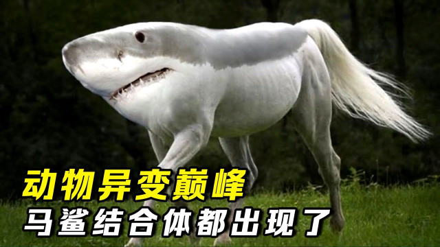 全球十大变异盘点蜘蛛羊横空出世马鲨都出现了