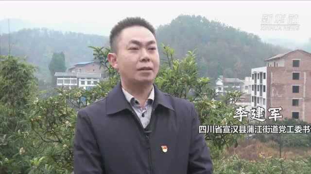 社会主义民主的生动实践——各地学习贯彻六中全会精神推进全过程人民民主