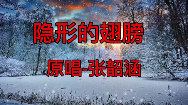 张韶涵演唱的经典影视歌曲《隐形的翅膀》