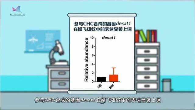 传播疟疾的按蚊如何“找对象”?中国科学家解开背后谜题