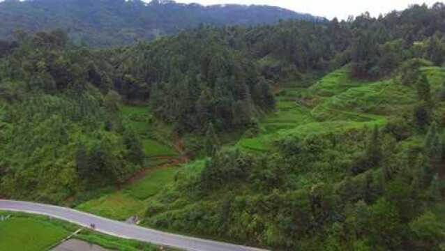 航拍路边发现此山地形标准,左右和后面都是高山,前堂视野宽阔