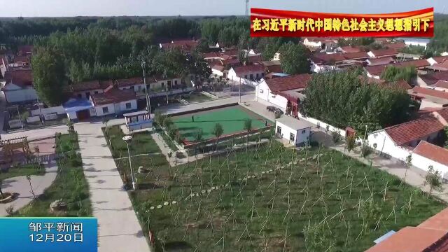 邹平:推动乡村振兴 迈出城乡融合崭新步伐