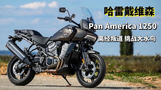 离经叛道挑战大水鸟三分钟读懂哈雷panamerica1250adv