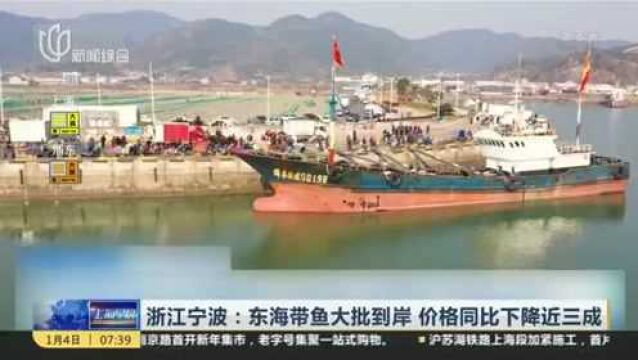 浙江宁波:东海带鱼大批到岸 价格同比下降近三成