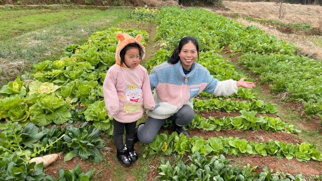 农村土地就是多,各式各样的新鲜蔬菜,看看都有哪些?