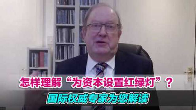 怎样理解“为资本设置红绿灯”?国际权威专家为您解读