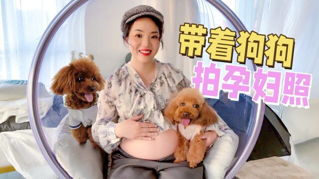 如何拍出超好看的孕妇照?这位双胞胎妈妈有奇招:带上2只狗!