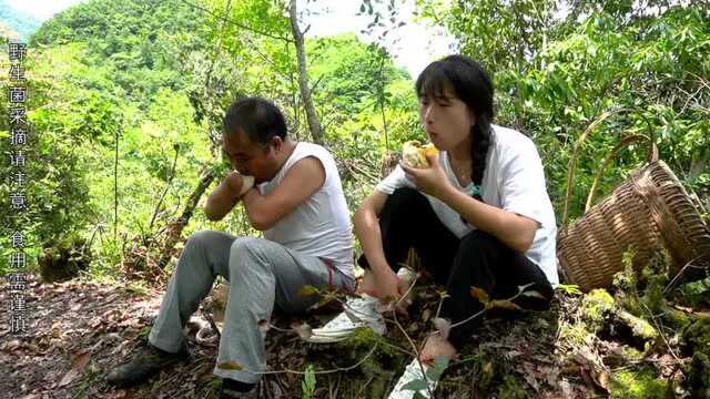 深山野生菌几十种很迷人,侄女看见红伞伞两眼发光,真的会毒人吗