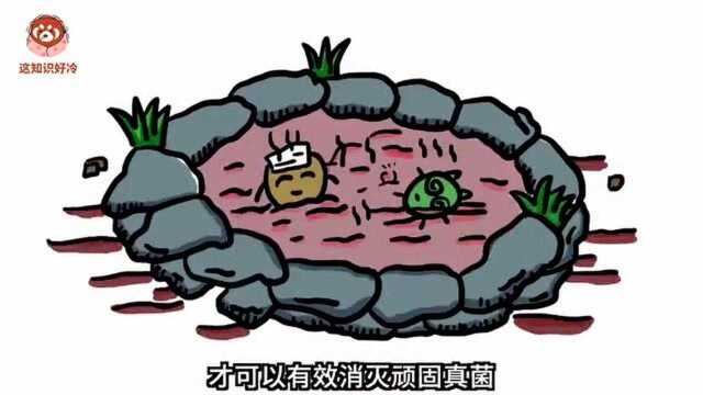 内裤和袜子到底能不能一起洗?究竟谁更脏?