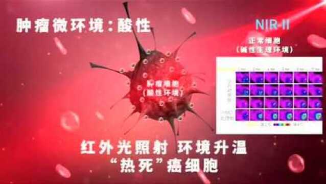 中科大研制出肿瘤光热治疗智能材料:自主寻靶、自动降解