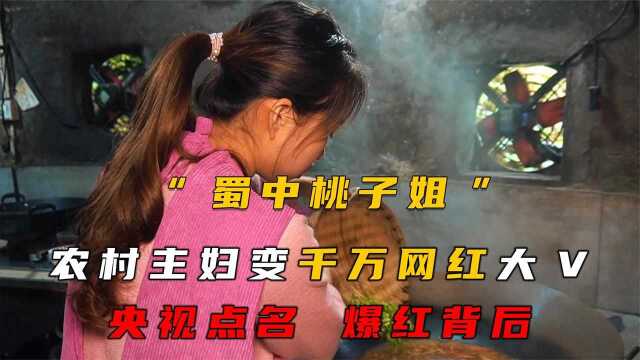 农村主妇成千万网红,被央视点名的“蜀中桃子姐”,到底凭什么?