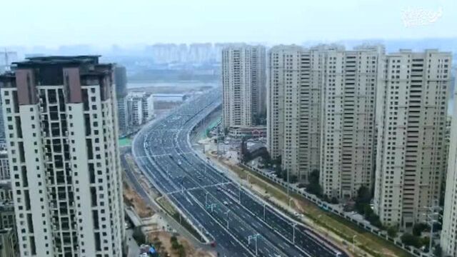 国内最宽扁平钢箱梁桥阜阳市阜裕大桥通车