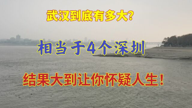 武汉面积相当于4个深圳,他真的有那么大吗?结果让人出乎意料