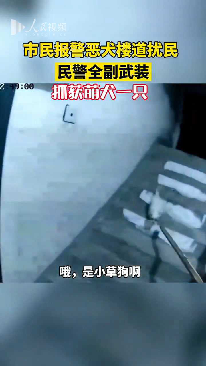 峰 on Twitter: 粉色的猪陈佩奇 萌犬一只 北北学姐 巧克力牛奶 魔物喵 雾枝姬 生物老师闵儿 茜公主 知一妹妹 ...