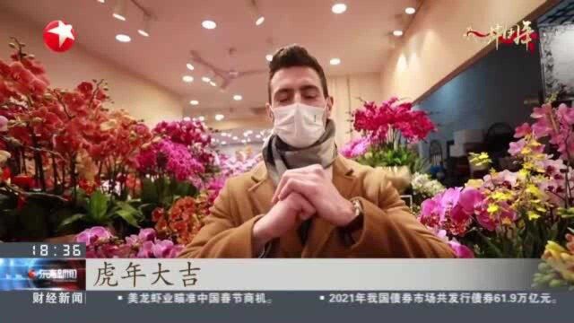 法国人雷米:“扎根”上海第一高楼 寄望虎年“客似云来”