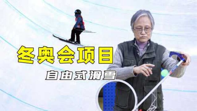 自由式滑雪物理小知识