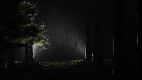 公园里的大雨和雷声 Insomnia Lullaby。#唐加文#