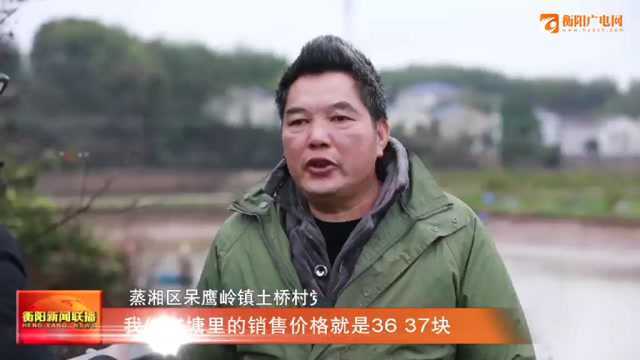 衡阳蒸湘土桥村: 环境改善 生态致富