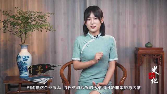 老人常说的“狗来富猫来穷”,到底是什么意思?养猫破财吗?