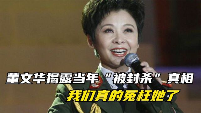 董文华当年发生了什么