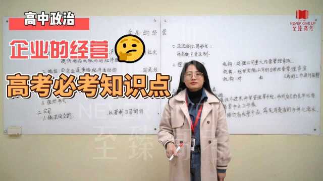 一对一家教|至臻高考|高中政治 企业的经营8