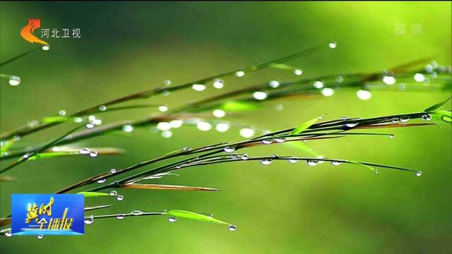 今日雨水:好雨时节,润物无声