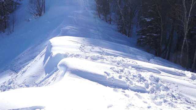 长白山戏雪蓝信(2013.2)