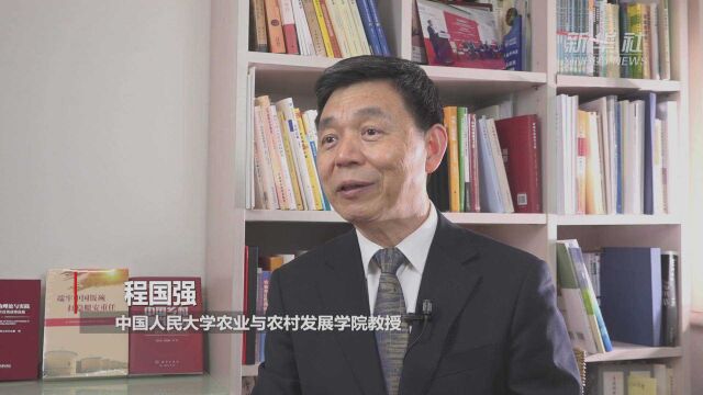 专家访谈|程国强:“三农”要确保稳产保供 稳定发展