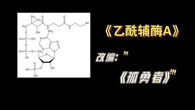 《乙酰辅酶A》改编孤勇者