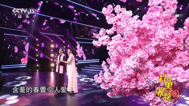 超好听!歌曲《梅花赋》旋律悠扬,李军、梦苇联合演绎