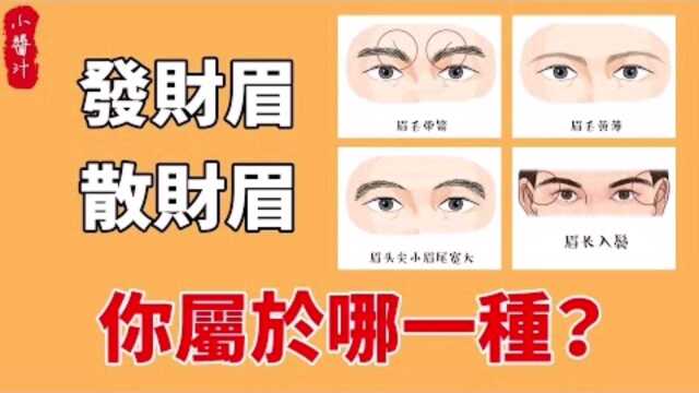 命理运势:眉毛看一生命运,什么眉毛什么命!