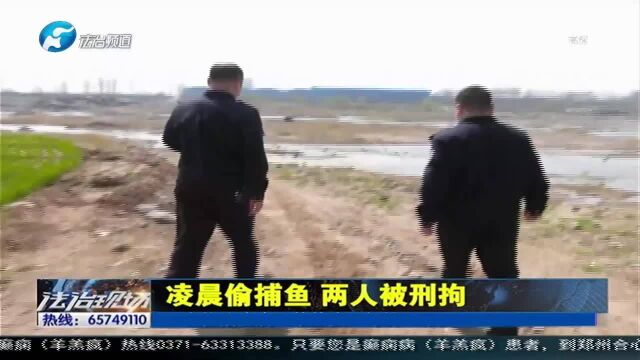 平顶山:凌晨偷捕鱼,两人被刑拘