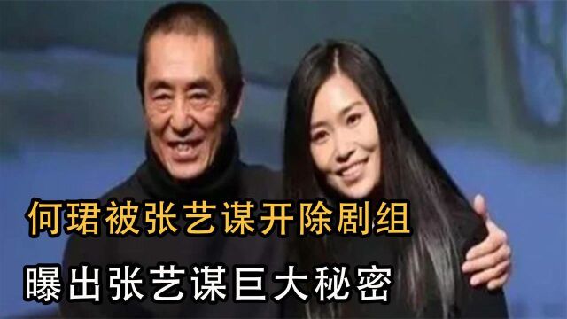 “谋女郎”何珺:那个举报张艺谋超生后被雪藏,如今她过得怎么样了