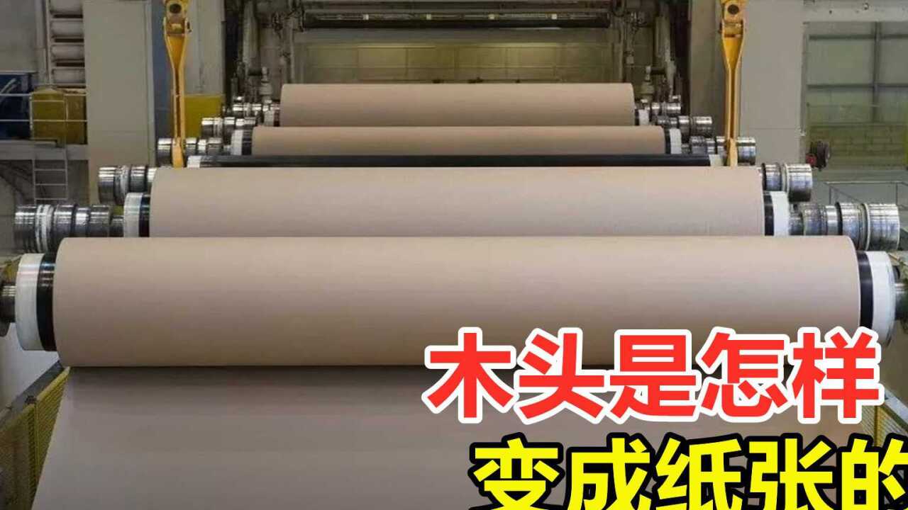 将一根木头变成纸,需要怎么办呢?实拍造纸过程_高清1080P在线观看平台_腾讯视频