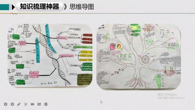 《生物体的结构层次》泉州市东海中学黄琼瑶