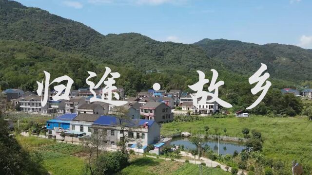 专题片《归途ⷦ•…乡》 武汉传媒学院2022届广播电视学毕业创作