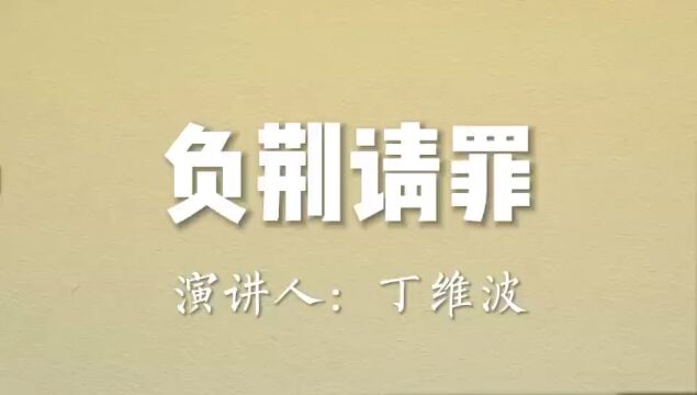 小学生演讲视频