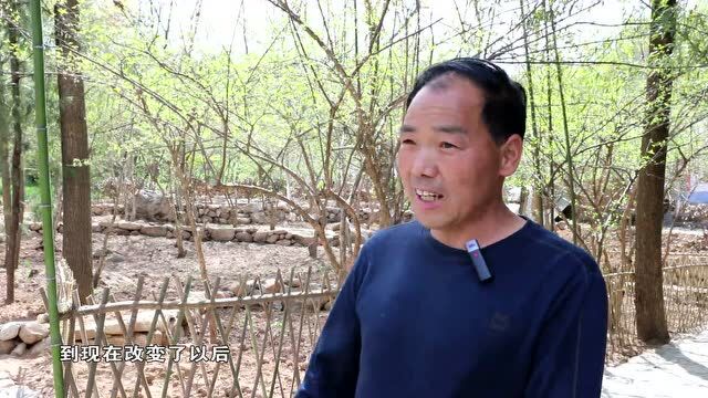 能力作风建设年 | 五里川镇:优化两个“环境” 幸福一方人民