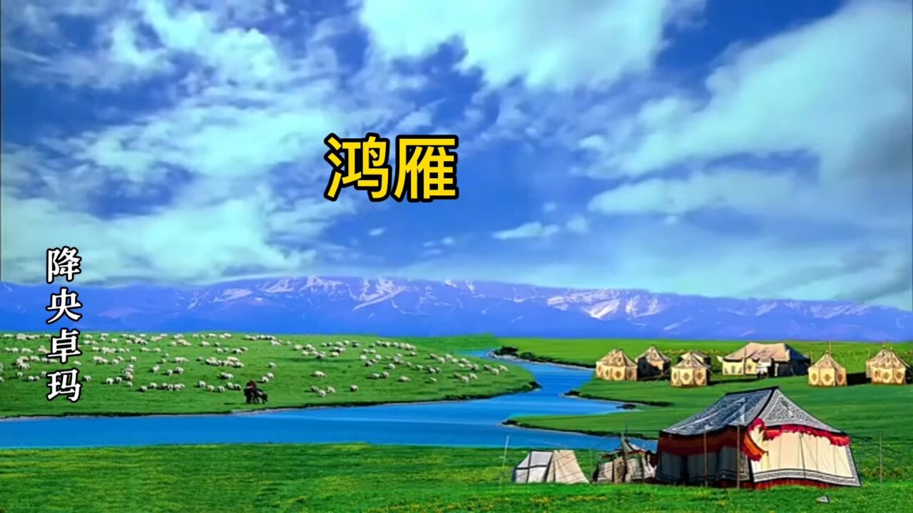 《鸿雁》降央卓玛演唱的一首经典歌曲